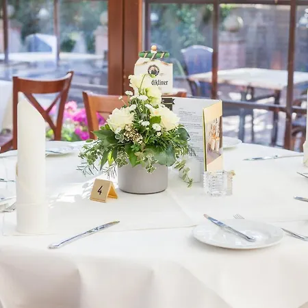 Отель Grasberger Hof Gmbh